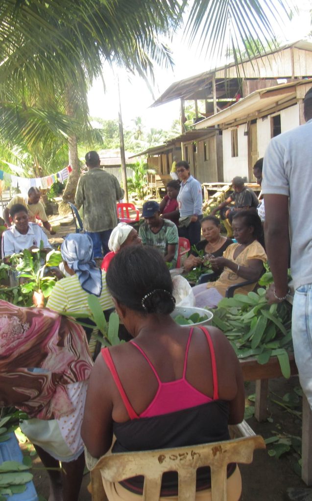 img 6449 min min min scaled