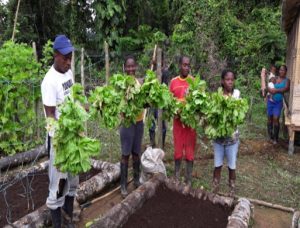 fortalecimiento medios de vida